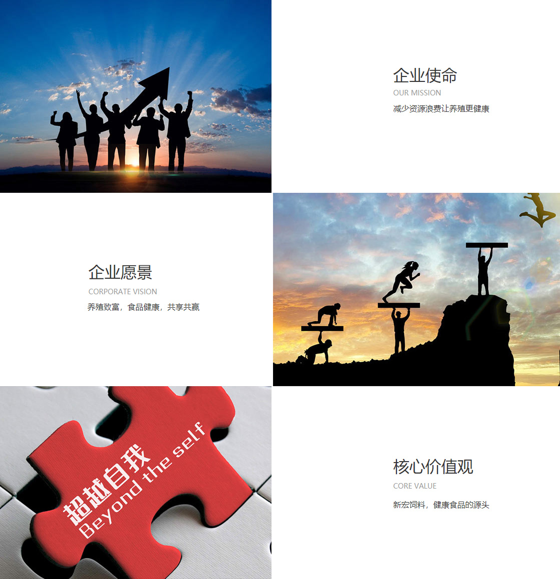 j9九游会登录网址(图1)